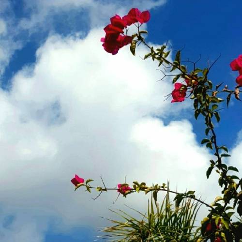  گردش چشم سیاه تو خوشم می آید خوشم می آید موج دریای نگاه تو خوشم می آید